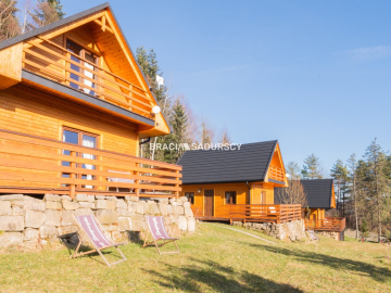 Domy do wynajęcia  dla Inwestora - gotowy biznes