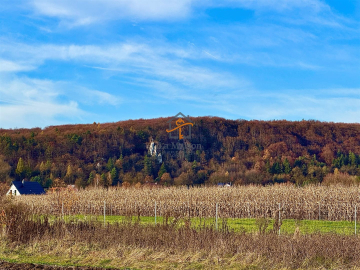 Rusicice, gm. Czernichów. 27 ar w zielonej okolicy