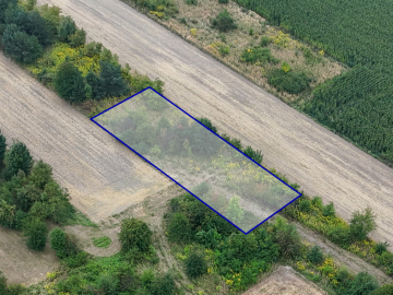 Rzerzęczyce | Działka na sprzedaż