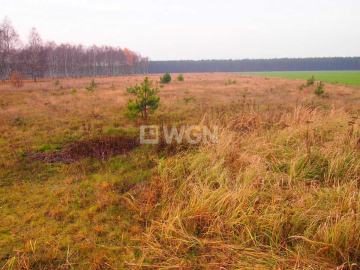 Sobin, działka inwestycyjna, 1,79 ha, 1 000 000 zł, sprzedam.  
  
Na sprzedaż działka inwestycyjna o powierzchni 1,79 ha położ