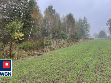 Sieraków, gmina Szprotawa, działka rolna, 23800 m2, sprzedaż, 139 000 zł.  
  
Na sprzedaż grunt rolny klasy III w miejscowości