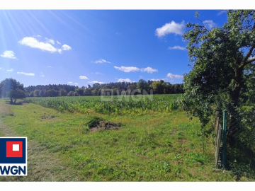 Szklarki, gmina Przemków, powiat polkowicki, działka rolna, 6400m2, sprzedam, 99 000 zł.  
  
Zapraszam do zapoznania się z ofe