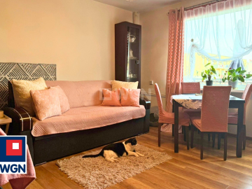 Przemków, mieszkanie 2 pokoje 49,10 m2, sprzedam, cena 179000 zł.

Na sprzedaż jasne i zadbane mieszkanie w bloku na osiedlu Hu