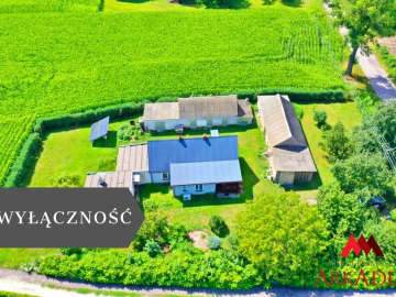 Dom z potencjałem/Bodzanowo