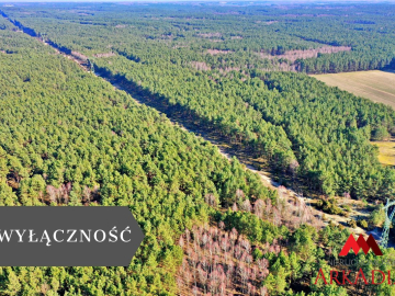 Działka las iglasty 40-50 letni, Bobrownickie Pole