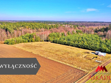Arkadia Nieruchomości  oferuje na sprzedaż  niezabudowaną nieruchomość gruntową , położoną w  województwie kujawsko-pomorskim ,