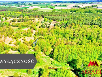 Działka Maliszewo/Lipno