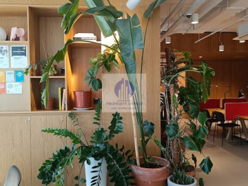 Śródmieście: biuro serwisowane na wynajem