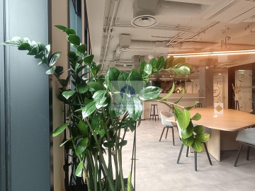 Śródmieście: biuro serwisowane na wynajem