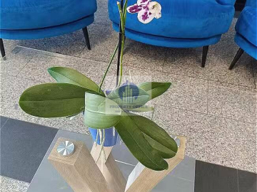 Targówek: lokal biurowy 220m2 na wynajem