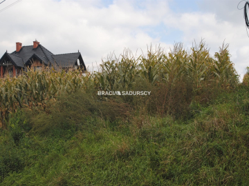 Działka budowlana w Proszowicach