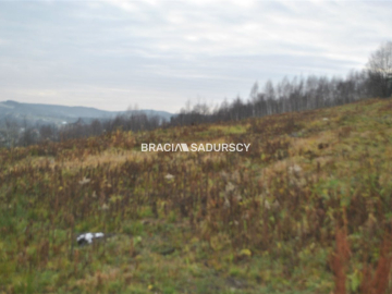 Duża,widokowa ,budowlano rolna w Głogoczowie
