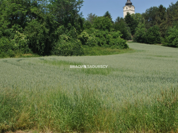 Duża działka inwestycyjna w Brzeziu gm.Kłaj