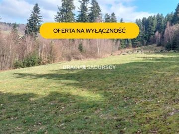 Działka rolna z możliwością zmiany na budowlaną