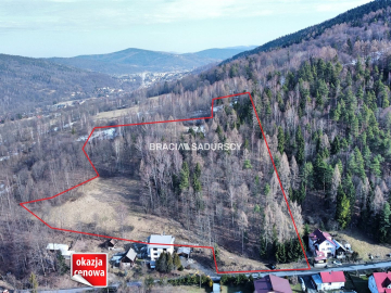 Działka widokowa o pow. 3 ha 