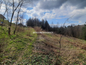Działka budowlana w otoczeniu lasu 