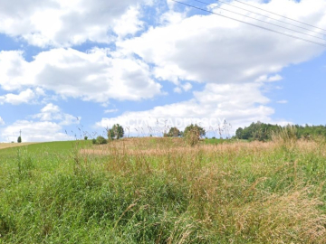 działka budowalana w Młodziejowicach 