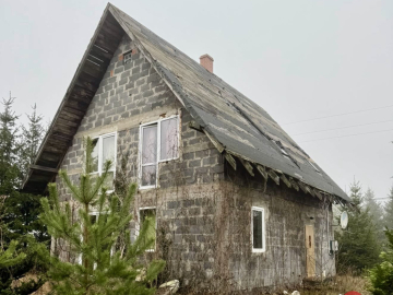 Dom w otoczeniu drzew.