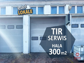 Profesjonalny Serwis  aut ciężarowych