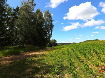 Działka budowlana na Mazurach Rożyńsk Wielki