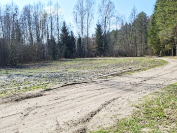 Działka blisko lasu w Solniczkach. 1109 m2