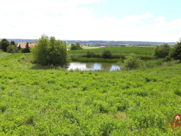 Działka rolno budowlana gmina Rutka-Tartak