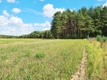 Działka budowlana 1047 m2, Wólka Poduchowna