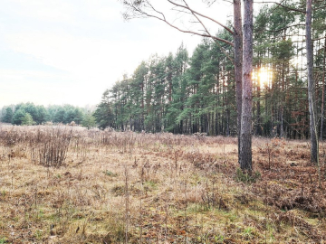 Działka 8500 m2, Jurowce