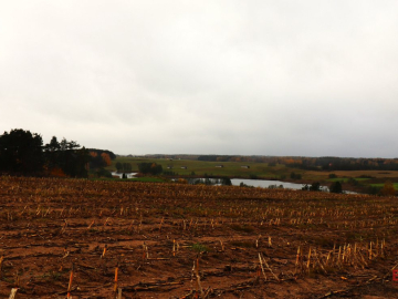 Działka rolno-budowlana - Żegary, gm. Sejny