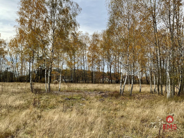 Sobolewo zaciszna  działka obok miasta.