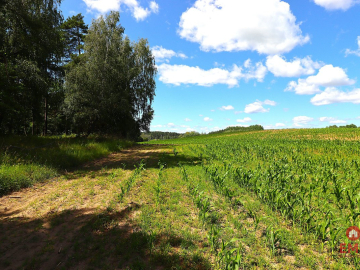 Działka budowlana na Mazurach Rożyńsk Wielki