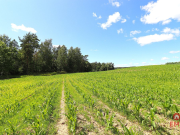 Działka budowlana na Mazurach Rożyńsk Wielki