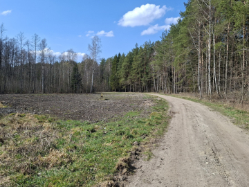 Działka budowlana pod lasem. 1085 m2