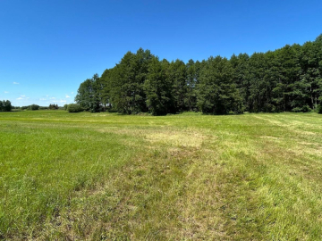 Działka rolno-budowlana 2,5 ha. Nowosiółki