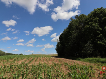 Działka budowlana na Mazurach Rożyńsk Wielki