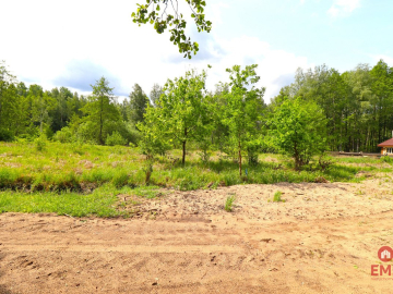 Działka w środku lasu