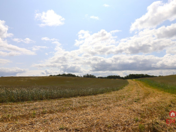 Działka rolno-budowlana Garbas II 5,5 ha