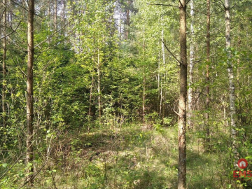 Działka idealna na domek.