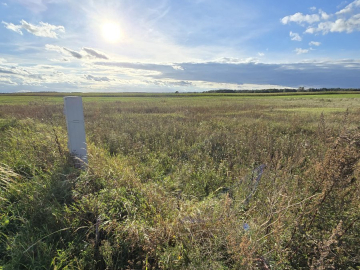 Działak budowlana blisko Narwi.