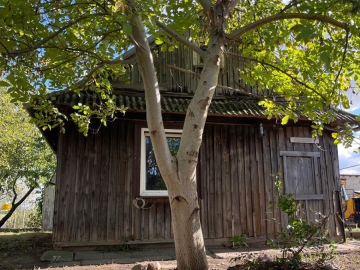 Dom do Remontu lub zamiana