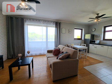 W centrum, widok na panoramę Gdańska