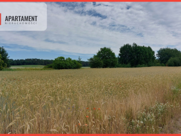 Działka z warunkami zabudowy - 200m od lustra wody