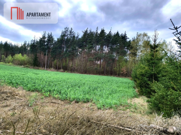 Piękna działka przy samym lesie !!!