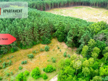 Cegielnik działka 1356m2 ze ścianą lasu