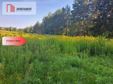 Działka 10 ar budowlana przy ścianie lasu!