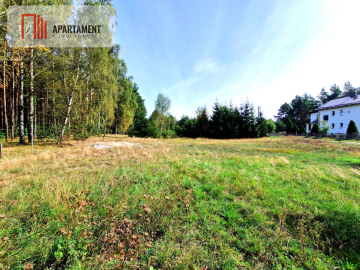 Działka budowlana ze ścianą lasu .