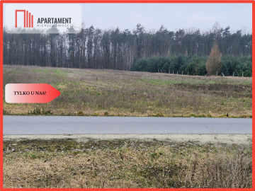 Działka budowlana ze ścianą lasu