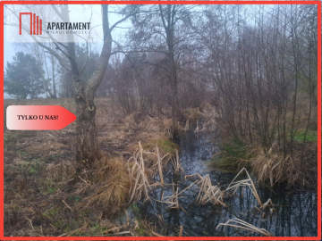 TYLKO U NAS !!! WSERCU BORÓW TUCHOLSKICH