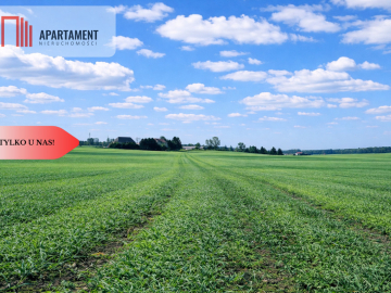 Osetno. 9 działek budowlanych blisko jeziora i las