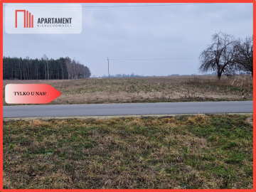 Działka budowlana blisko dużego lasu